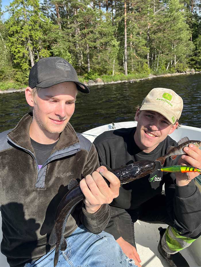 Traktor med släp fullt med stockar