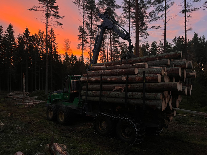 Traktor med släp fullt med stockar